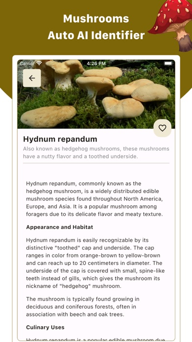 Screenshot #3 pour Mushroom ID : Identifier, Scan
