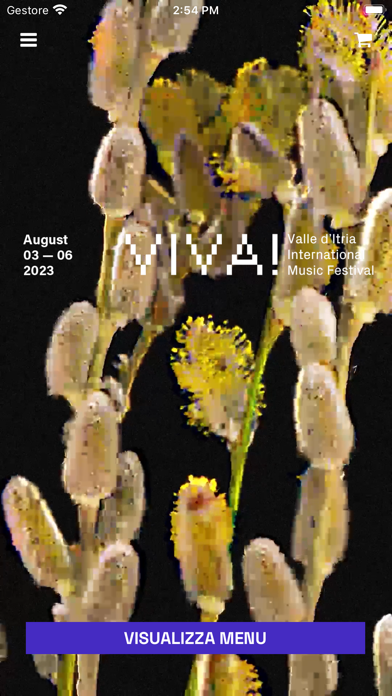Viva Festival Screenshot