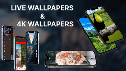 4K Wallpapers |Wallpaper Maker Screenshot