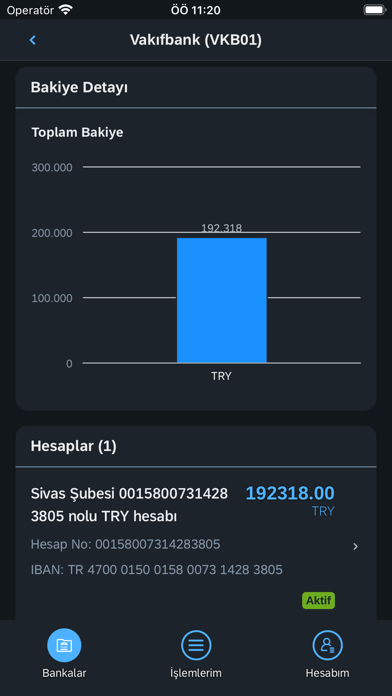 Detay e-Hesap Screenshot