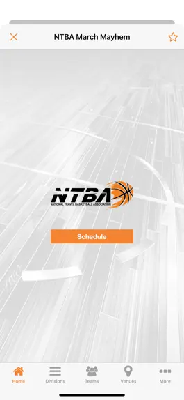 Game screenshot NTBA Basketball hack
