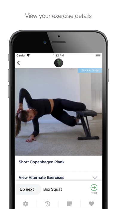 Kayleen Babel Training Screenshot