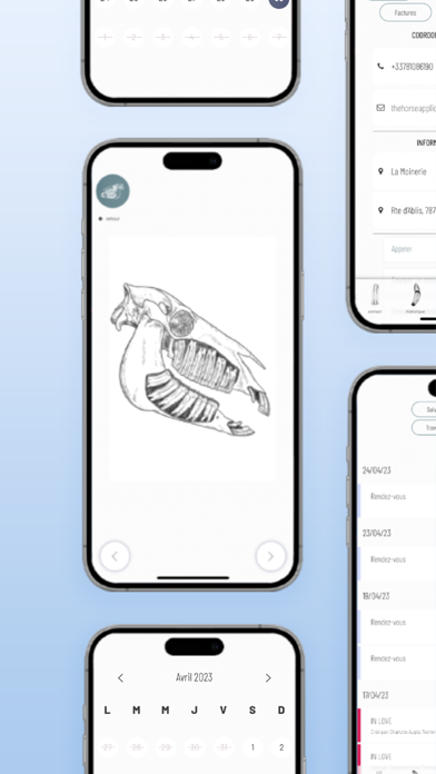 TheHorseApps Screenshot