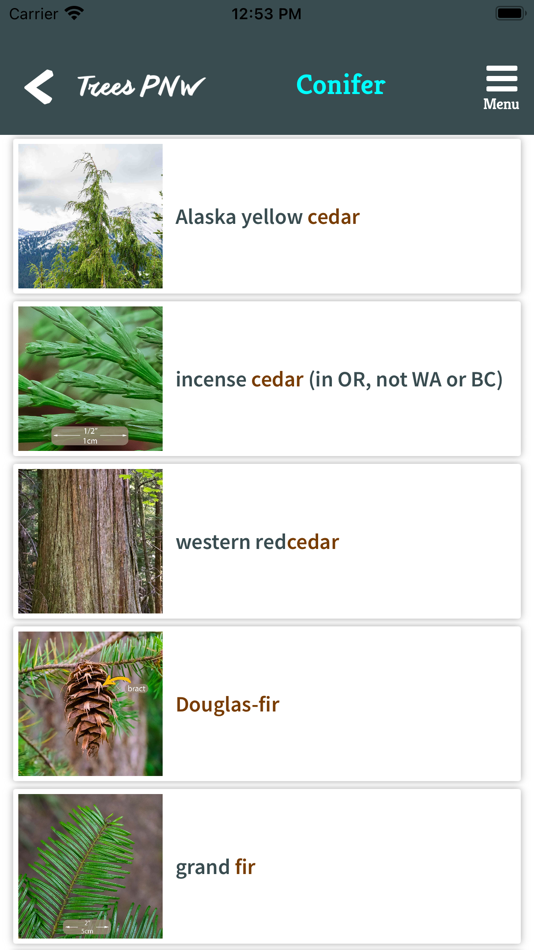 #2. Trees PNW (iOS) 由: Cliff Cantor