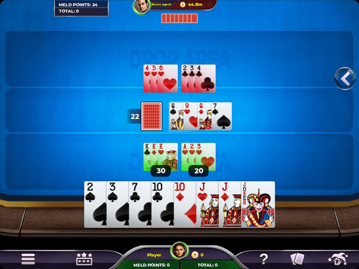 Rummy 500 - Card Game