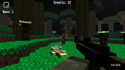 Block Warfare Zombies Screenshot