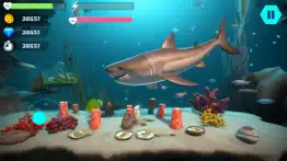 angry shark hunting shark game iphone screenshot 1