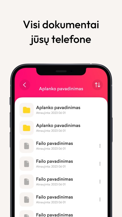 Buhalterės.lt Screenshot