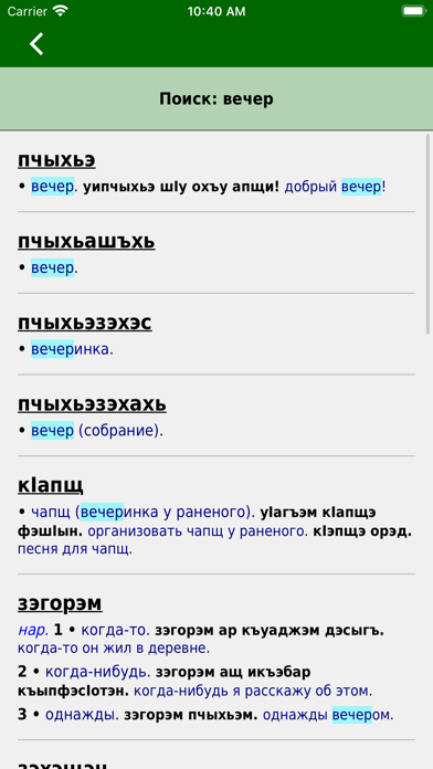 Adyghe Dictionary Screenshot