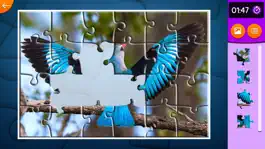 Game screenshot Jigsaw puzzle - PuzzleTime mod apk