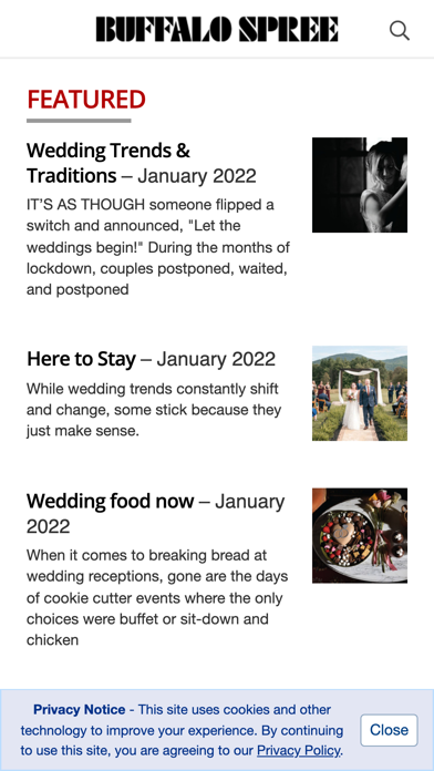Buffalo Spree Magazine Screenshot