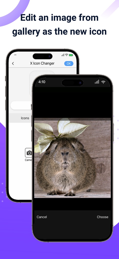 X Icon Changer: Customize Icon - Los usuarios tienen la libertad de cargar imágenes desde su galería, permitiendo seleccionar y ajustar una fotografía como la de un roedor para usarla como icono de una aplicación.