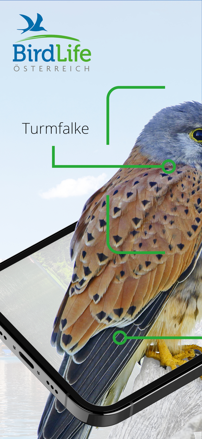 Vögel in Österreich