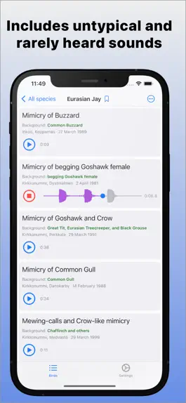 Game screenshot Bird Sounds of Northern Europe apk