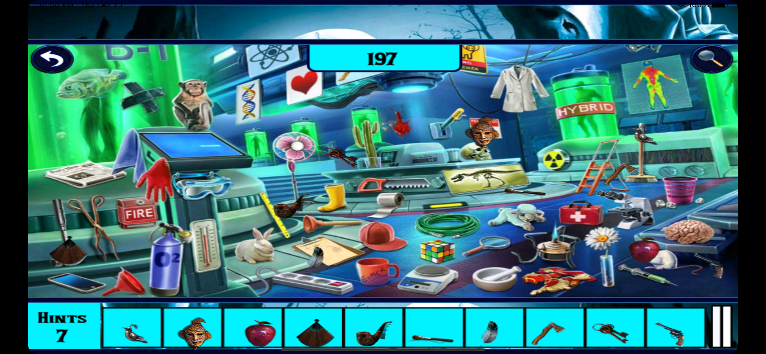 Hidden Objects:Night Mystery