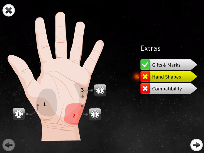 Palm Reading Premium