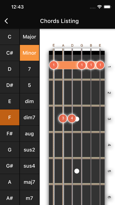 Basic Guitar Chords Screenshot