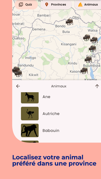 YebaCONGO Screenshot