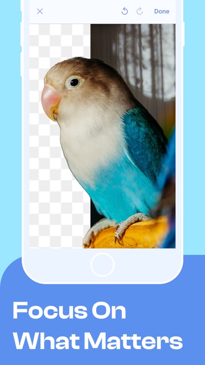 Remove Background, Eraser PIC