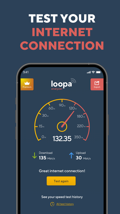 Network Analyzer Master: Loopa Screenshot