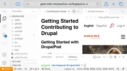 drupalpod helper problems & solutions and troubleshooting guide - 3