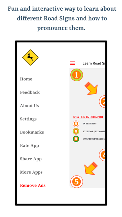 Driving Road Signs Screenshot