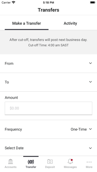 First National Bank PortLavaca Screenshot