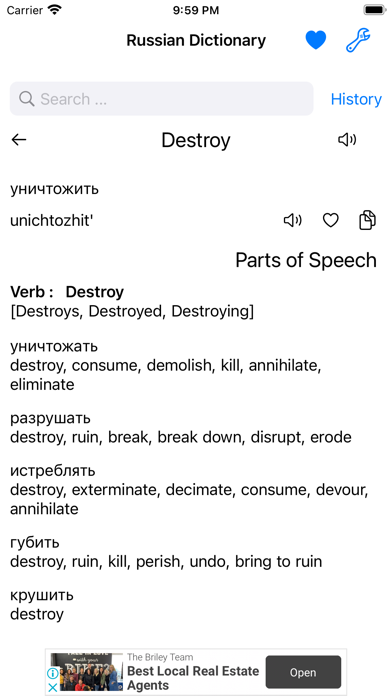 Smart Russian Dictionary Screenshot