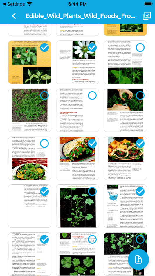 #2. PDFTOJPG: Convert PDF to Image (iOS) 由: Monali Paghadal