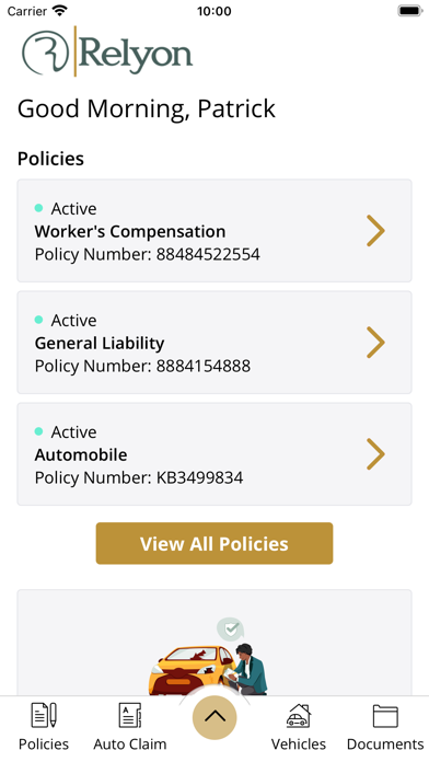 Relyon Insurance Services Screenshot