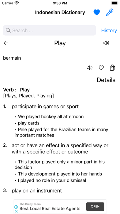 Smart Indonesian Dictionary Screenshot
