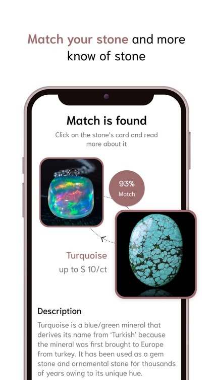 AI Stone Identifier screenshot-4