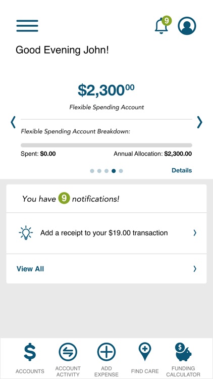 BlueSolutions Spending