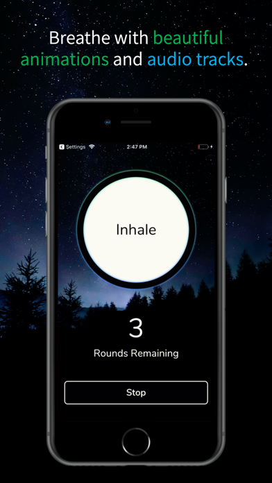 Mana Verse: Breath Practices Screenshot