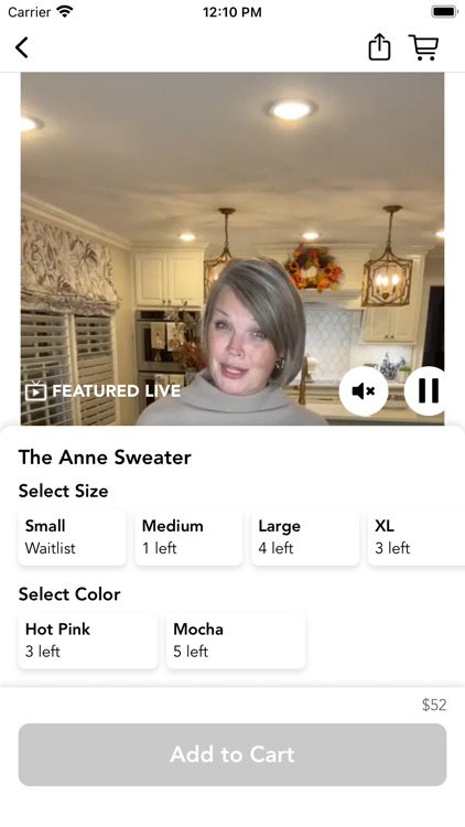 The Village Shoppe Online