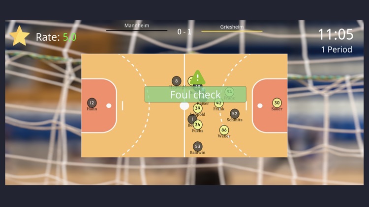 Handball Referee Simulator screenshot-4