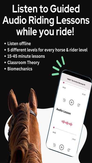 Horse Riding Lessons Screenshot