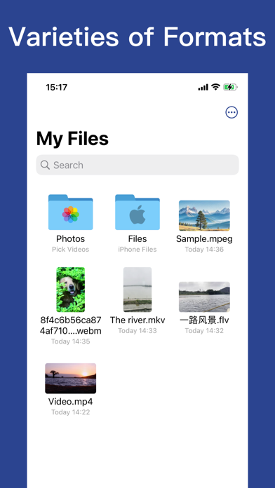 Video Converter - Media Format Screenshot