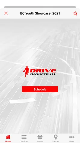 Game screenshot Drive Basketball hack