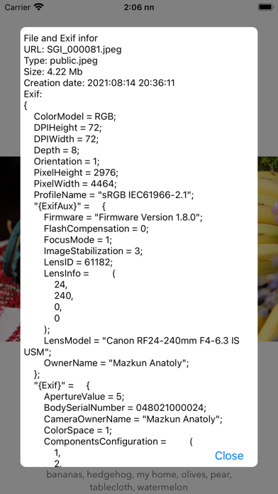 Search Gallery Screenshot