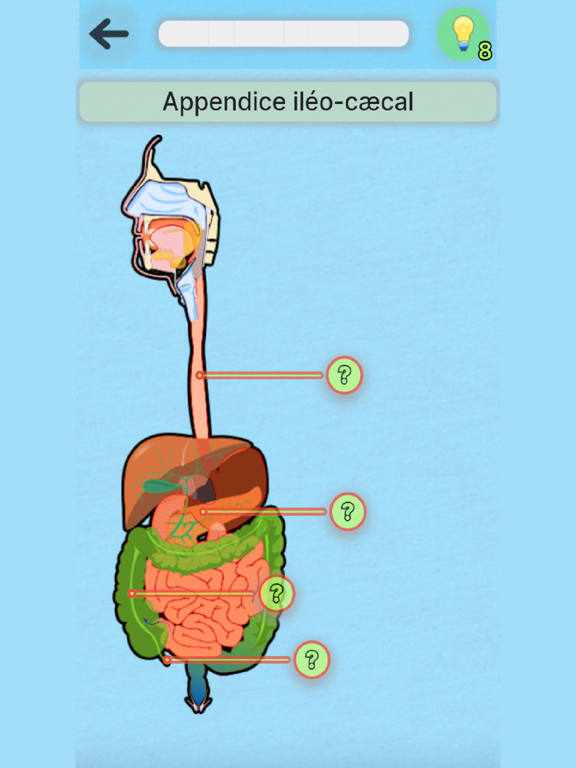 Screenshot #4 pour Anatomie