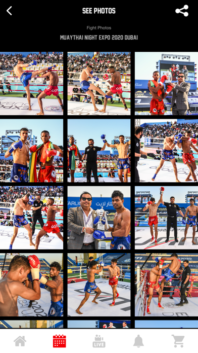 UNITED ARAB MUAYTHAI Screenshot
