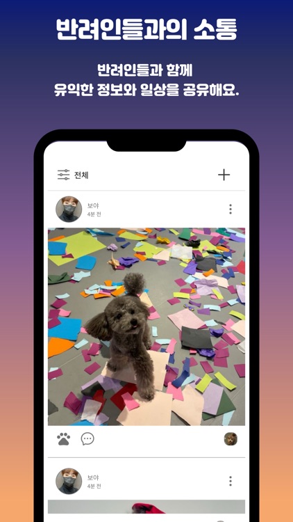 젤리야 뭐해 screenshot-6