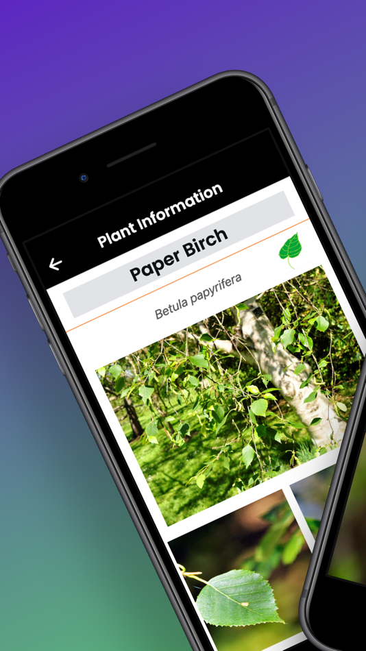 #1. Browse Poster (iOS) 由: Dan Madsen