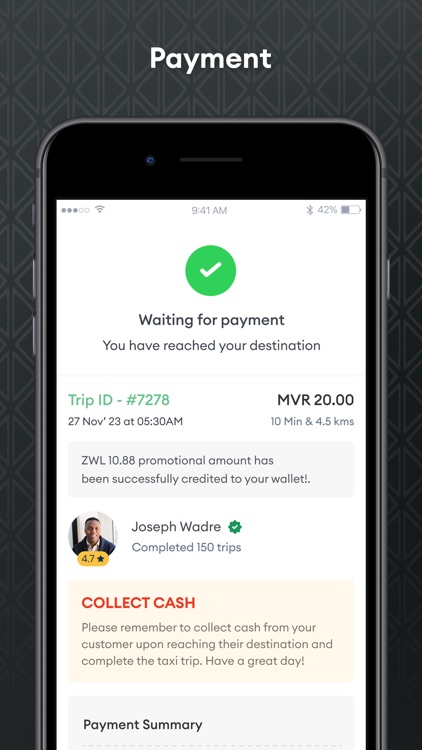 Nala Taxi Driver screenshot-5