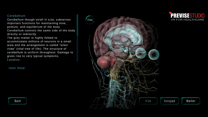 3D Human Anatomy Pro