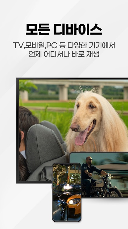 투디스크 screenshot-6