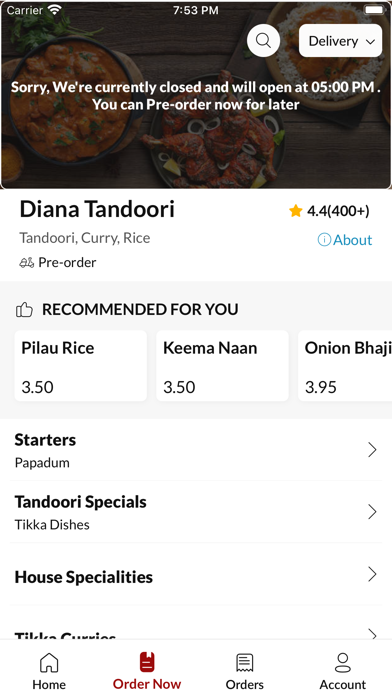 Diana Tandoori Screenshot