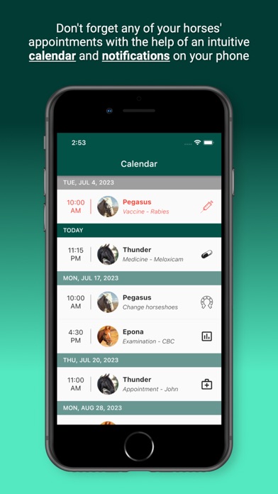 Horsefy Screenshot