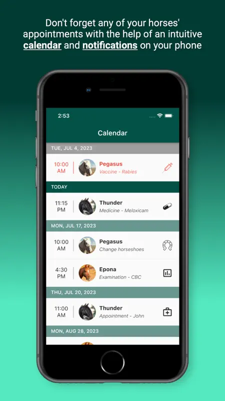 Horsefy screenshot 3 of 8